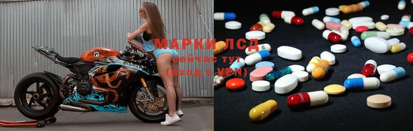 прущие грибы Бородино