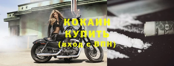 прущие грибы Бородино