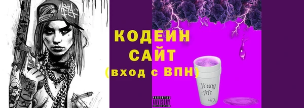 прущие грибы Бородино