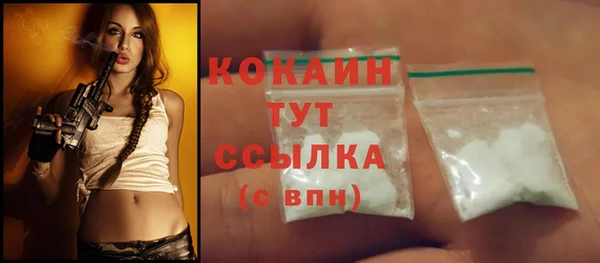 прущие грибы Бородино