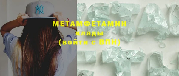 прущие грибы Бородино