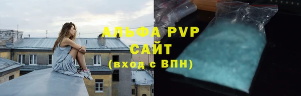 прущие грибы Бородино