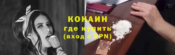 прущие грибы Бородино