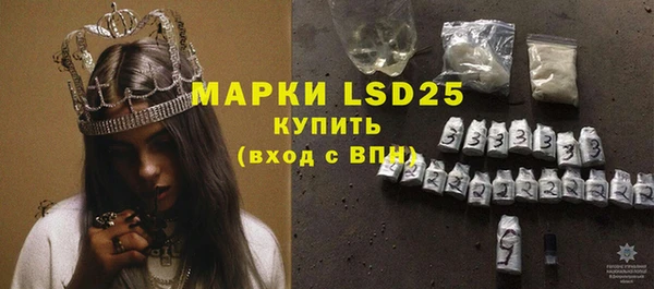 прущие грибы Бородино