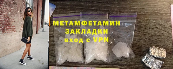 прущие грибы Бородино